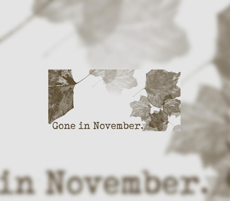 Gone In November Collector's Edition cover art