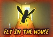 Fly in the House cover art