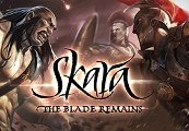 Skara Starter Package cover art