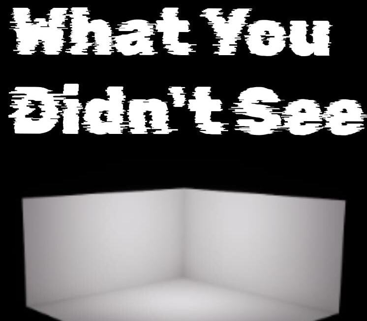What You Didn't See cover art