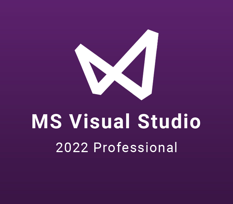 MS Visual Studio 2022 Professional cover art