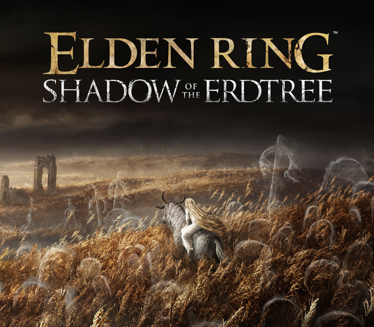 ELDEN RING - Shadow of the Erdtree DLC cover art