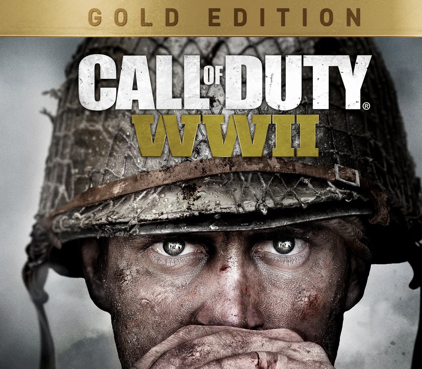 Call of Duty: WWII Gold Edition cover art