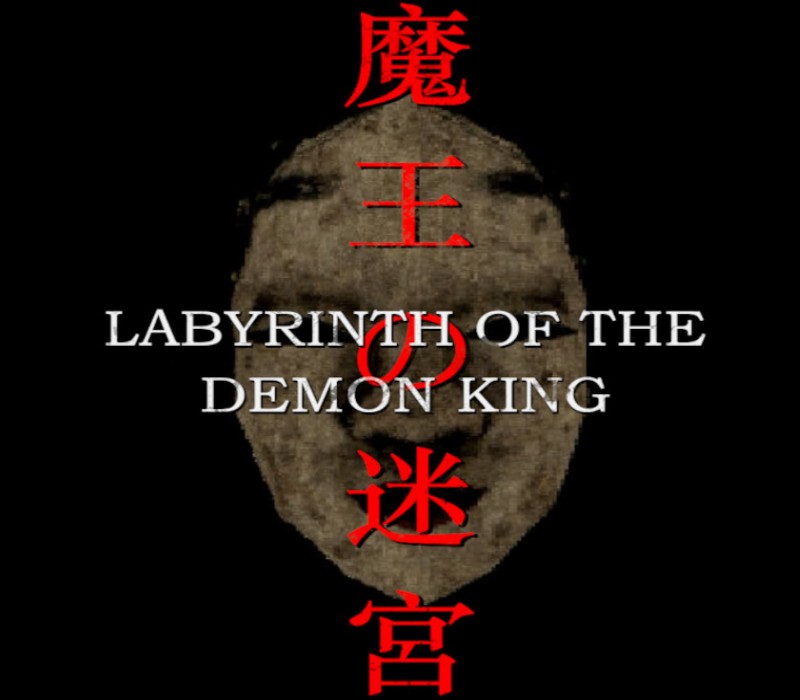 Labyrinth Of The Demon King cover art