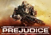 Section 8: Prejudice cover art