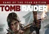 Rise of the Tomb Raider: 20 Year Celebration Edition cover art