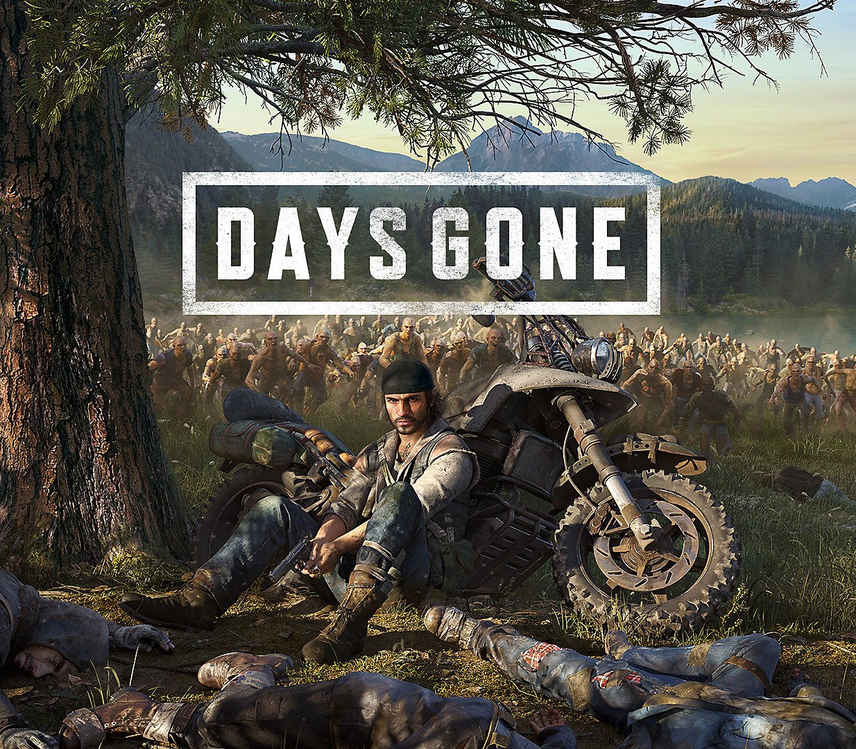Days Gone FR cover art