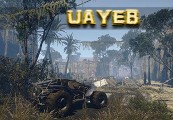 UAYEB cover art