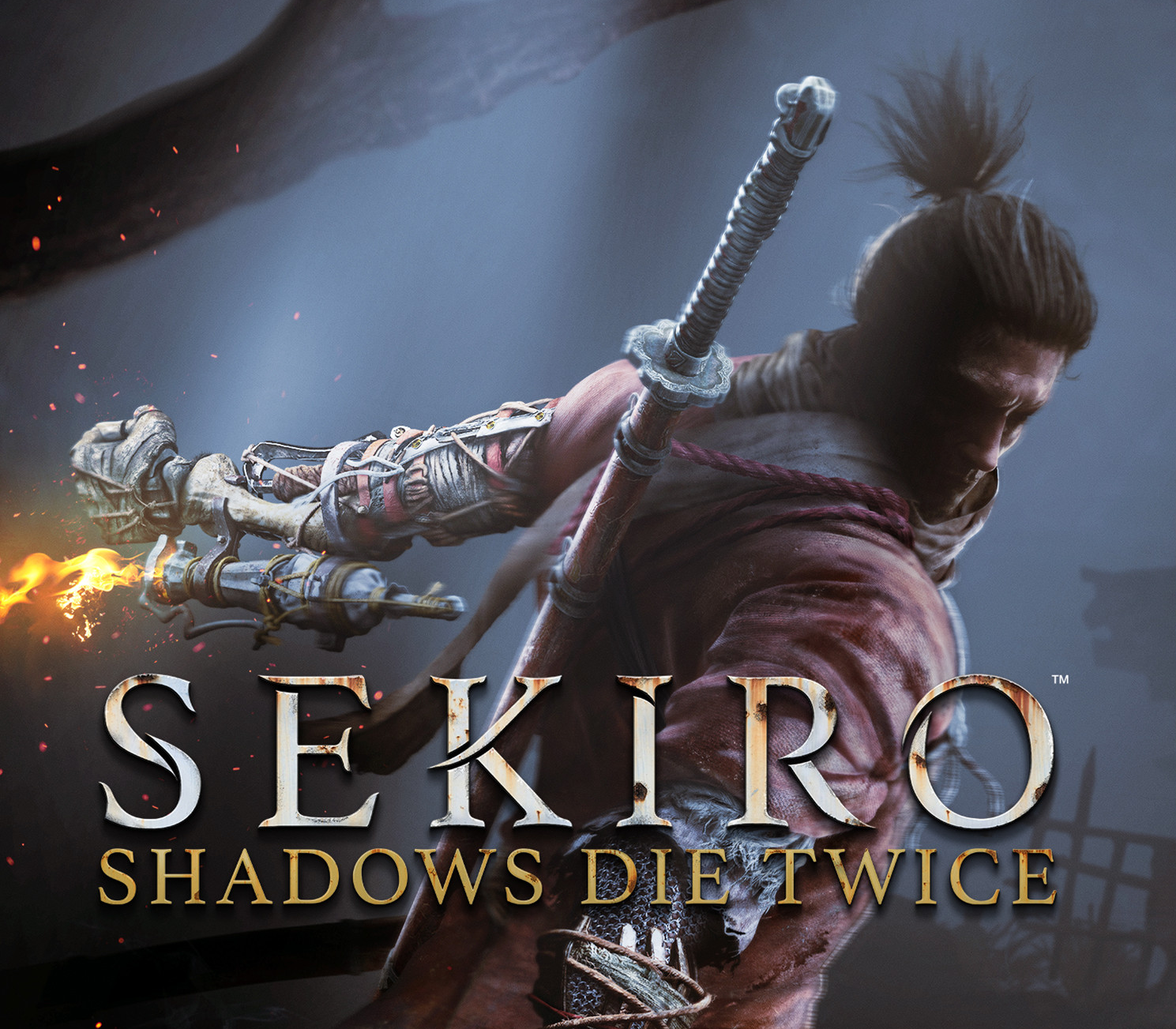 Sekiro: Shadows Die Twice GOTY Edition cover art