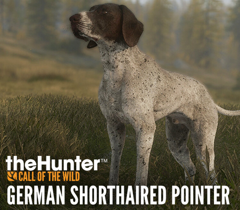 theHunter: Call of the Wild - German Shorthaired Pointer DLC cover art