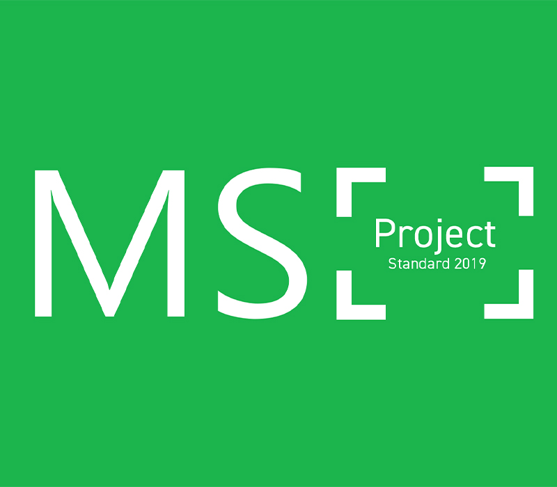 MS Project Standard 2019 cover art