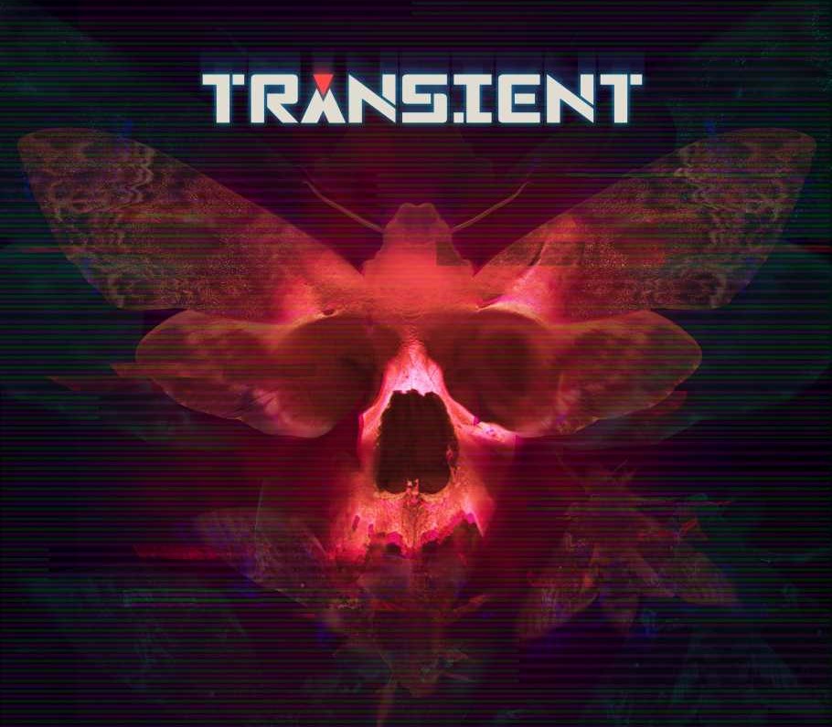 Transient cover art