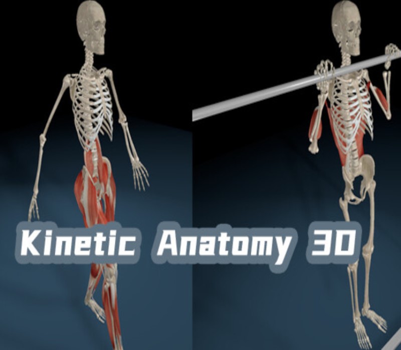 Kinetic Anatomy 3D cover art