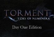 Torment: Tides of Numenera Day One Edition cover art