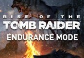 Rise of the Tomb Raider - Endurance Mode DLC cover art