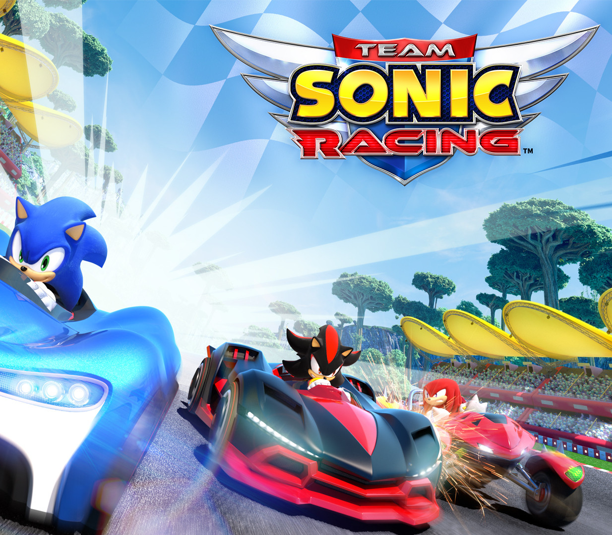 Team Sonic Racing PS4/PS5 Access cover art