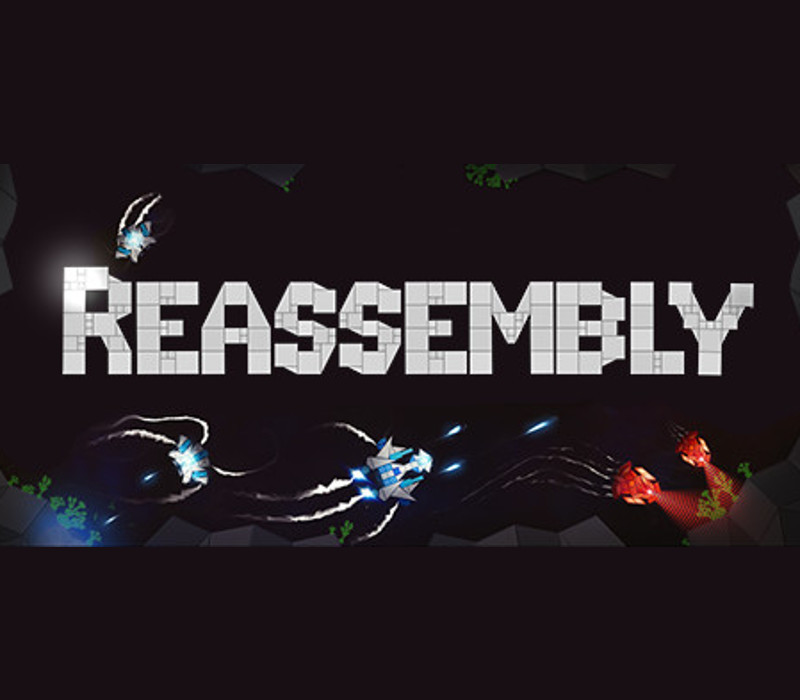 Reassembly cover art