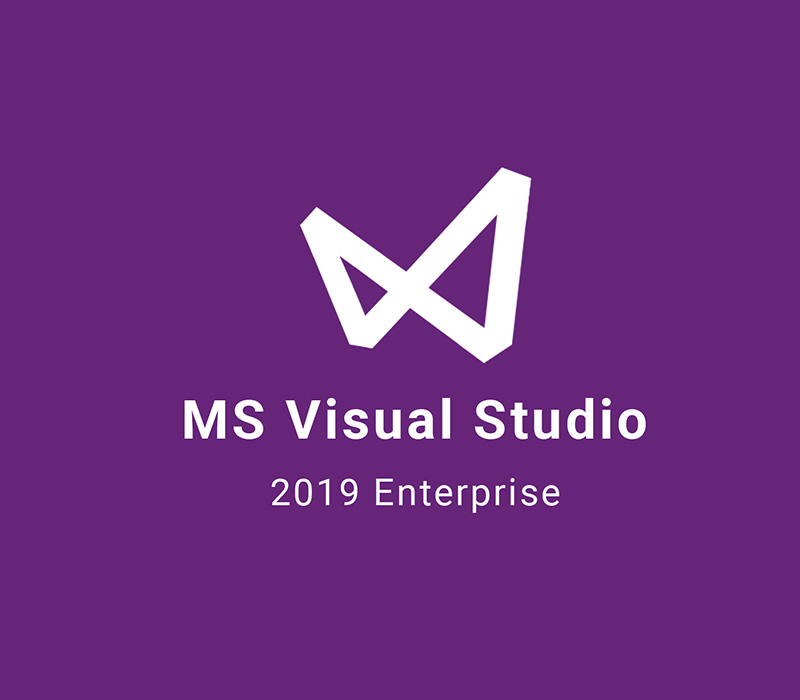 MS Visual Studio 2019 Enterprise cover art
