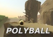 Polyball cover art