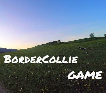 BorderCollie Game cover art
