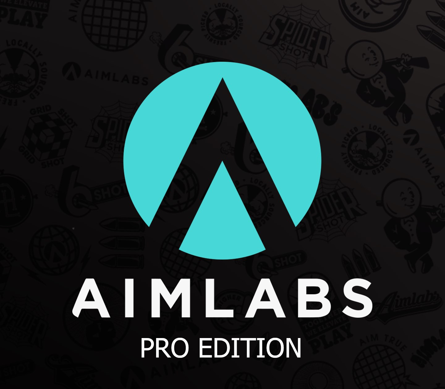 Aimlabs Professional Edition cover art