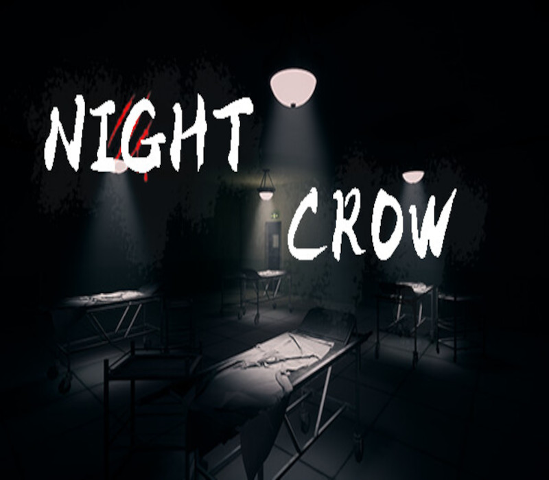 NIGHT CROW cover art