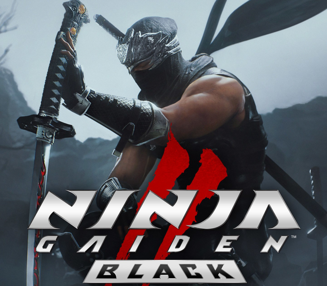 NINJA GAIDEN 2 Black cover art