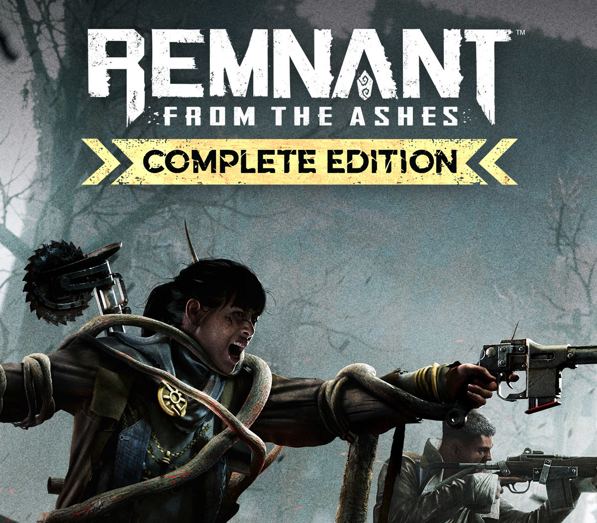 Remnant: From the Ashes Complete Edition cover art