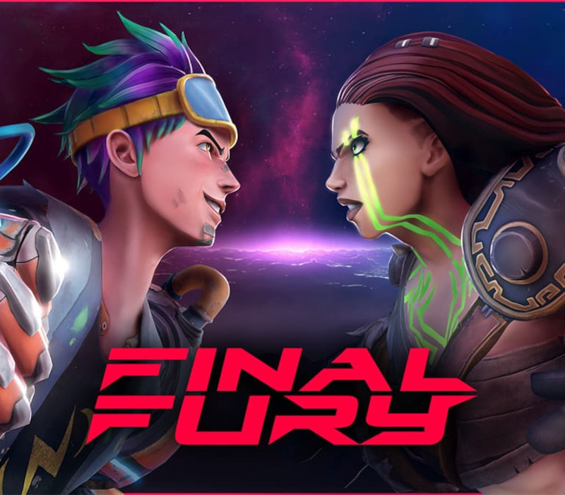 FINAL FURY cover art