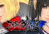 Mitsurugi Kamui Hikae cover art