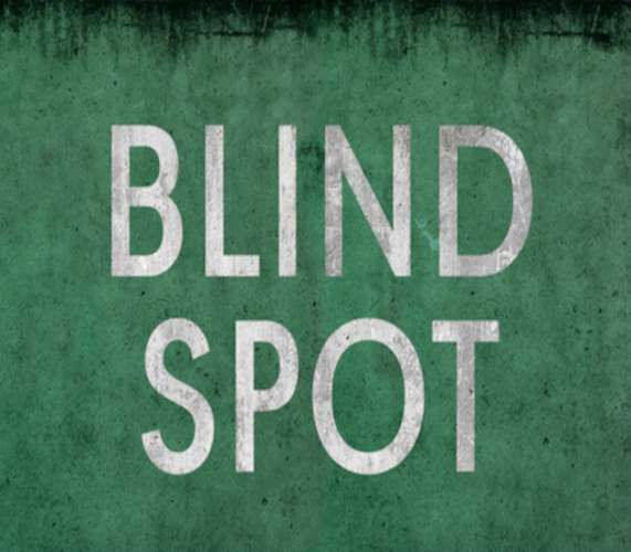 BLIND SPOT cover art