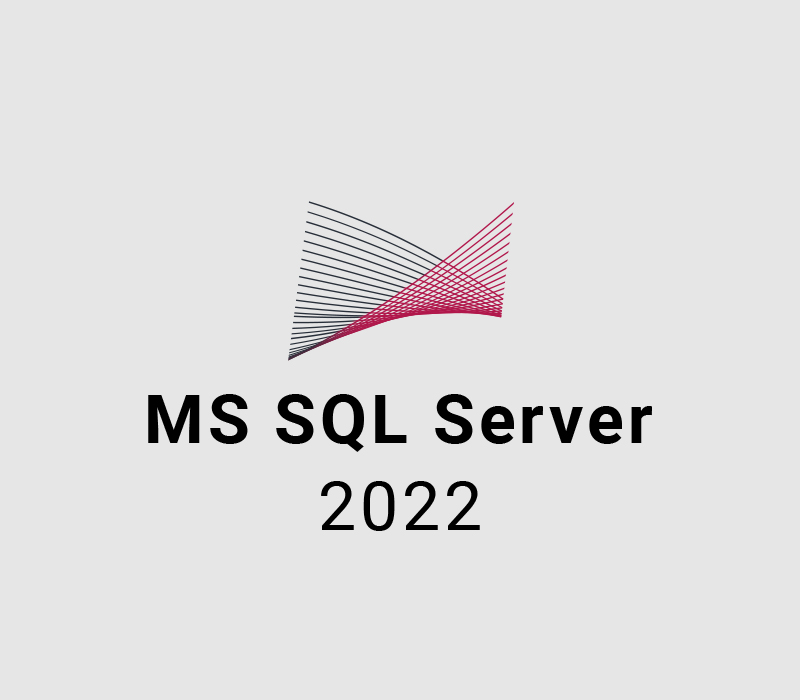 MS SQL Server 2022 (5 Users) cover art
