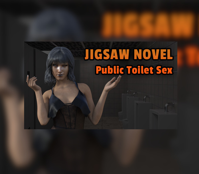 Jigsaw Novel - Public Toilet Sex cover art