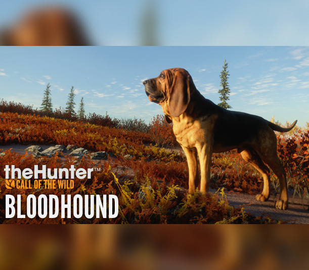 theHunter: Call of the Wild - Bloodhound DLC cover art