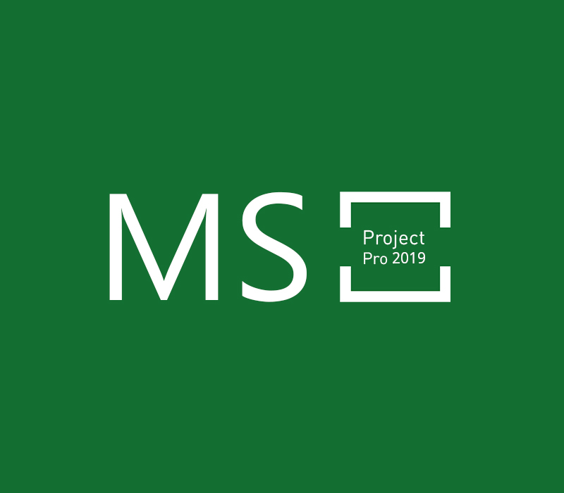MS Project Professional 2019 cover art