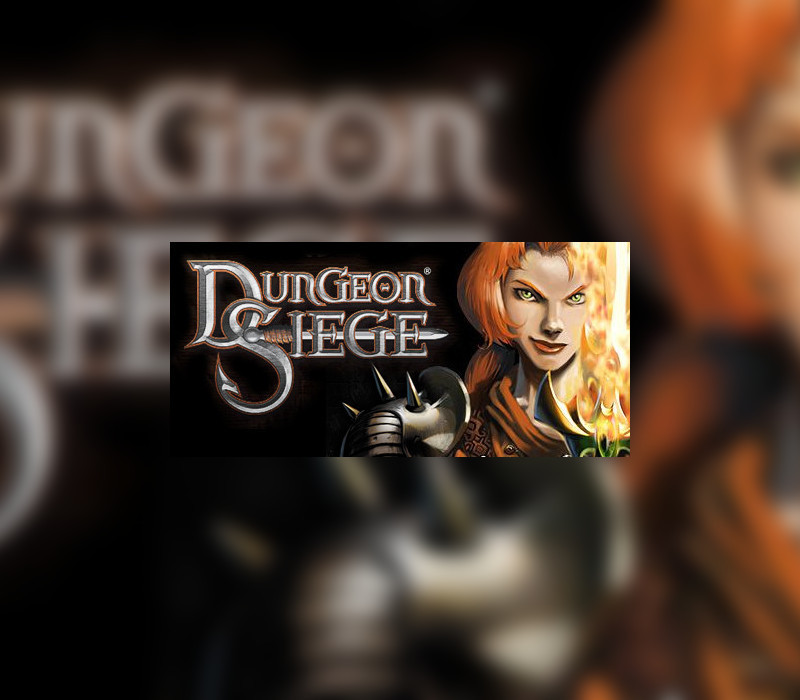 Dungeon Siege cover art